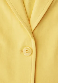 Basis blazer