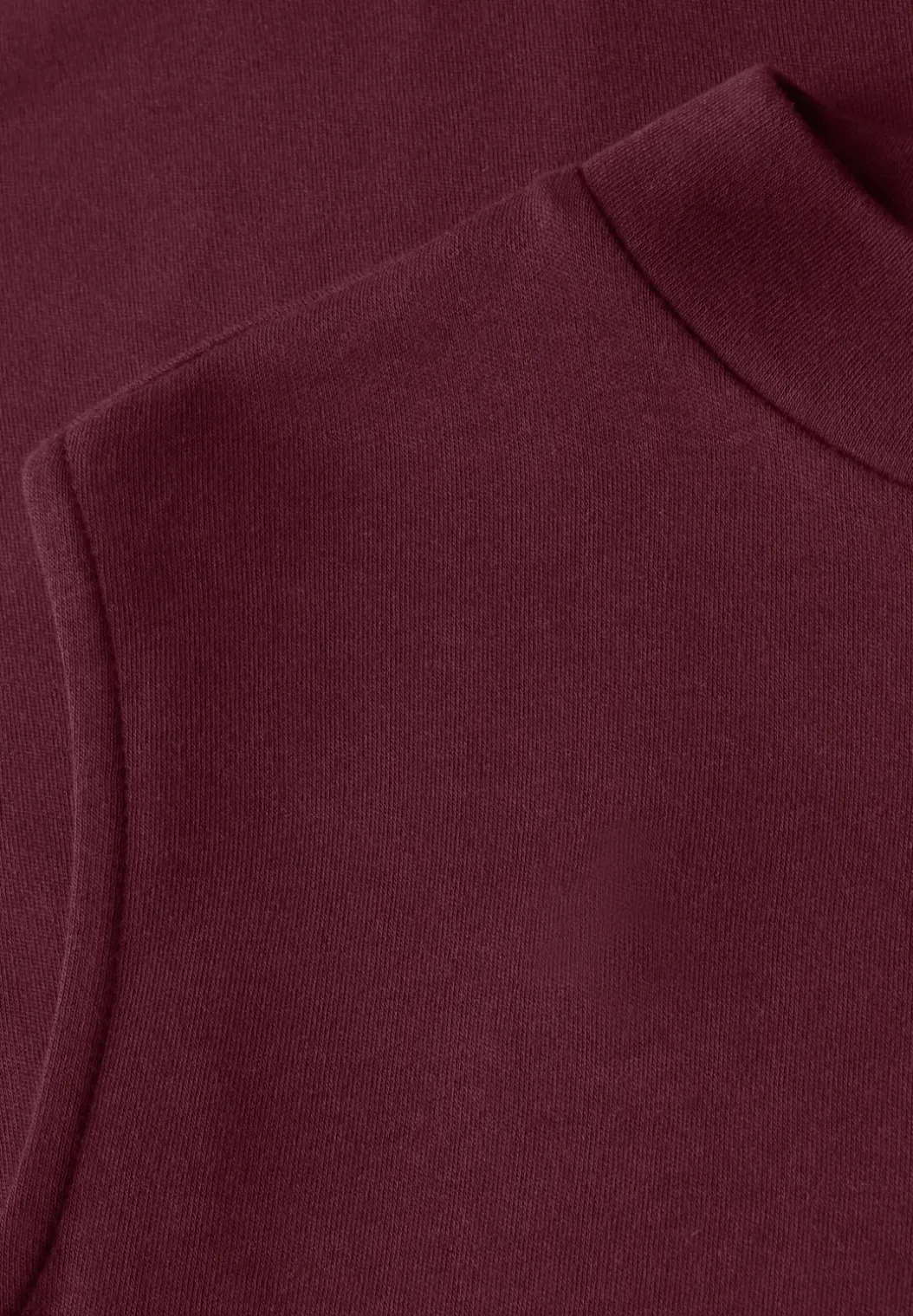 Basis top