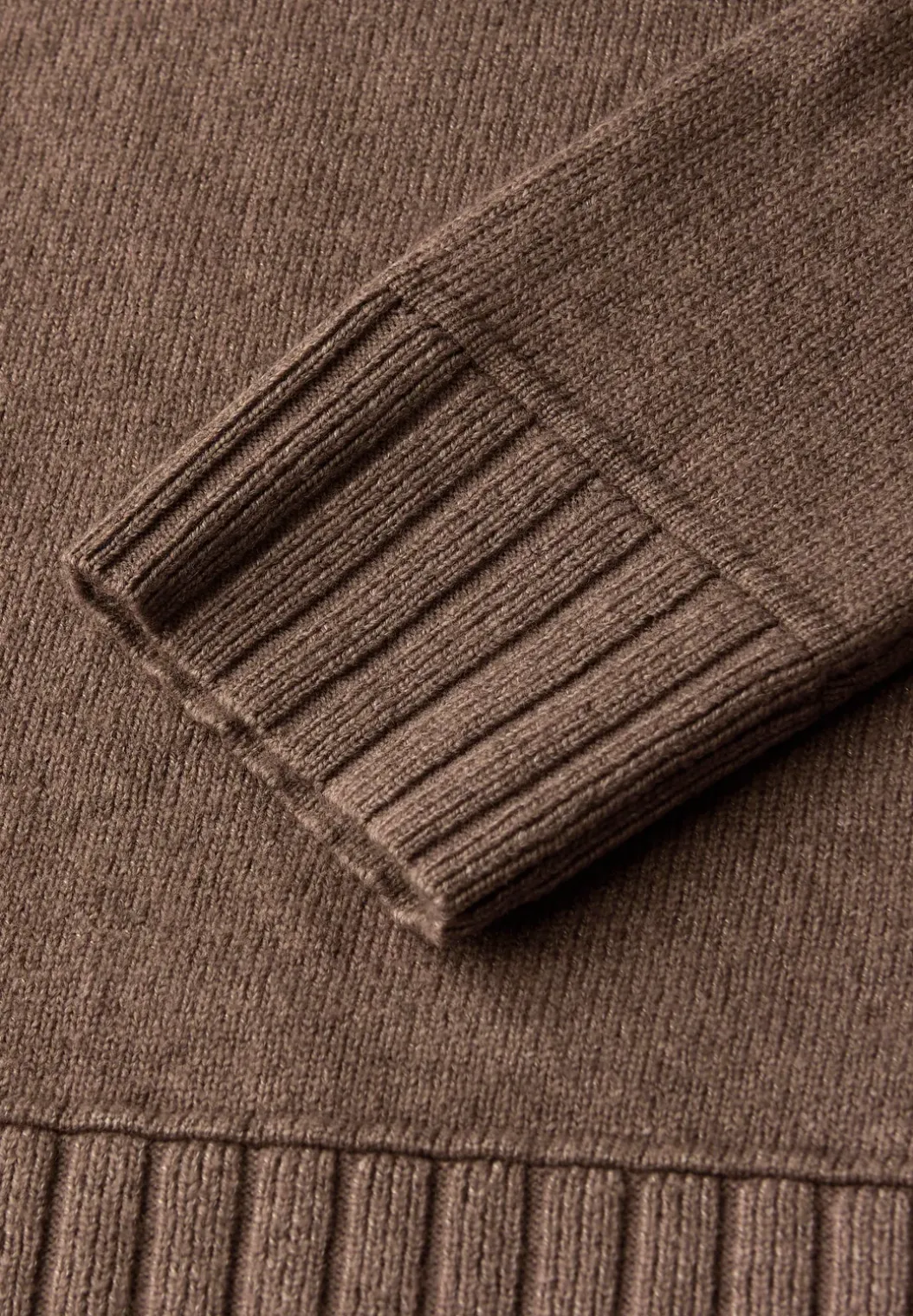 Basistrui