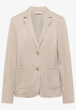 Blazer visgraat