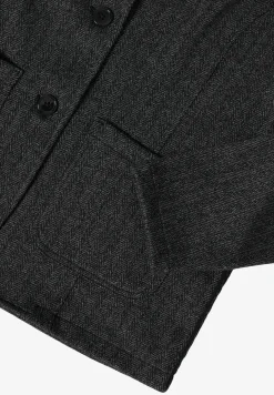 Blazer visgraat