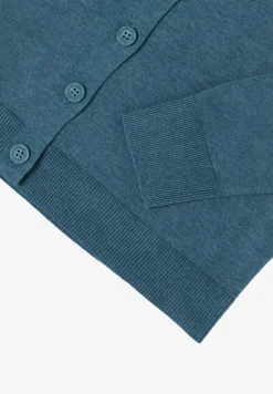 V-hals vest